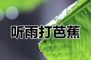 雨夜相思（淋湿了心扉的故事）