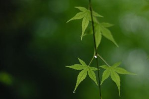 《相遇城市》（一封留言，两颗心动；一座教堂，一场恋爱。）