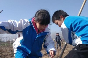 一名工人的劳动生涯和成长故事（一名工人的劳动生涯和成长故事）