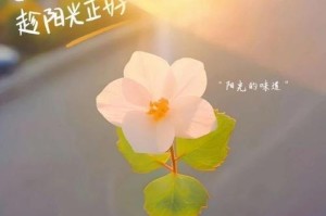 梦想照进现实，勇闯天涯（一位少年的奋斗之路）