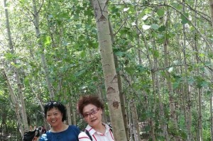善解人意（看清内心）