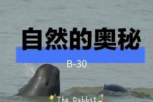 《大自然的声音》——探索自然的神秘之旅