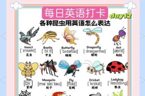 小虫子大冒险（一个小男孩和他的昆虫朋友们）