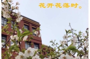 永不放弃的勇气（乐观进取，向前迈进）