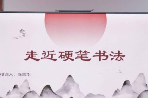 文字中的绽放（阳光下的绿叶）