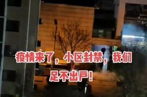 盼光阴疫起荒原变华章（一个小村庄的抗疫故事）