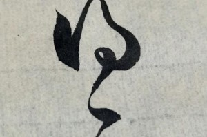 以寸草心，不屈不挠（一个人的坚持，改变命运）