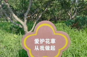 感恩的力量（一份忘恩负义，一份感恩回报）