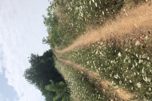 探索神秘的海底世界（探索神秘的海底世界）