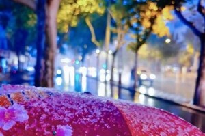 第一场雪（一次意外的邂逅）