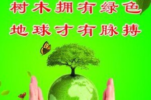 一棵小树苗的成长之路（从种下它的那一天开始）