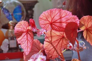 阳光下的寂静（那年冬日，我走出了自己的阴影）