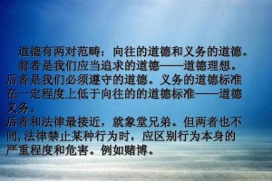 坚持道德的李明（一个无私奉献的精神瑜伽者）