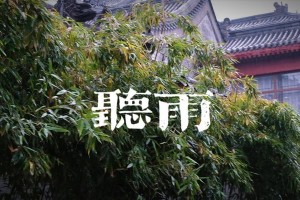 留得残荷听雨声（为了一场终于等到的夜雨）