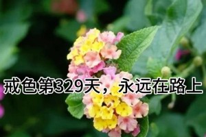 路上风景（探险之旅）