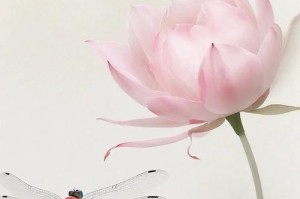 TheFragranceofLotusFlowers（AStoryofLoveandHealing）