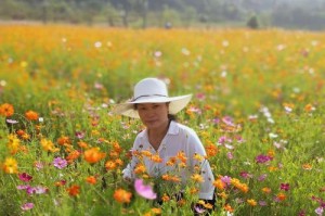 更好的相聚（团队旅游记）