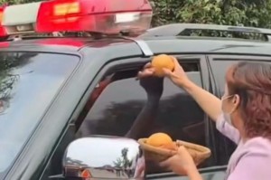 温暖的微笑（一个孤单的老人和一个小女孩的相遇）