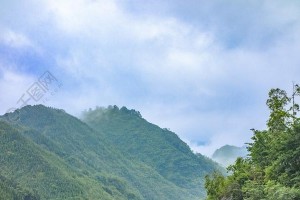 小雨守护绿水青山（环保青年行动起来）