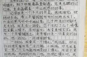 真正的爱永不止步（一只流浪猫给我带来了教训）