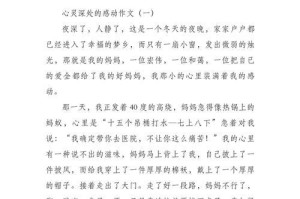 爱的力量（一位爱心老人与小女孩的故事）