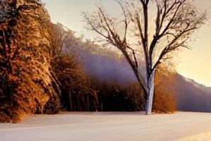 冬之美——一场雪的旅程