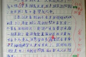 变迁中的故乡（二十年间，故乡发生了什么？）