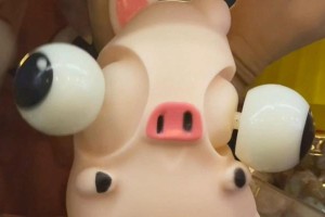 有趣的日子（一段不同寻常的经历）