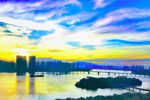 李娜——成为一道风景的奋斗（用画笔描绘生命中的点点滴滴）