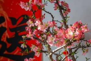冬日里的温暖（一个小小的举动带来的温馨）