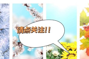 人生的宝藏（人生的宝藏）