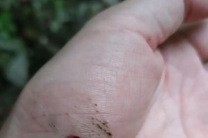 窗外的雨，心底的爱（陌生人的温暖）