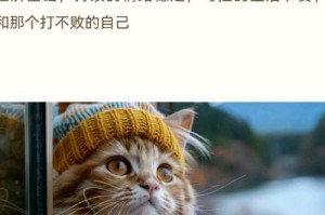 别太在乎（一次放手的经历）