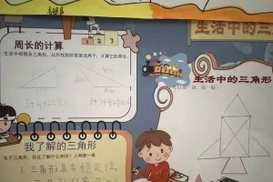 美好暑期体验：与海洋的邂逅