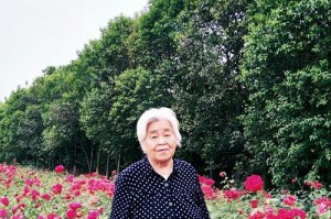 妈妈，你是我的天使（一个小女孩的母亲节故事）