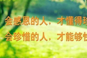 寸草心（平凡故事，感人至深）