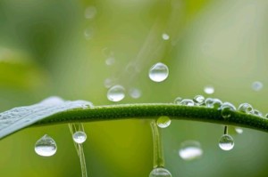 带着梦想踏上自然之旅，发现真正的自我（带着梦想踏上自然之旅，发现真正的自我）