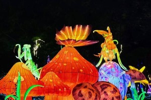 TheEnchantingLanternFestival