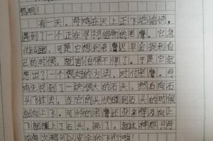 母鸡的传奇（奇妙的飞行之旅）
