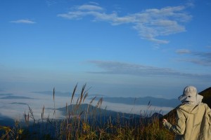 翻过那座山，开启新世界（一个年轻人的冒险之旅）