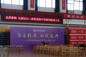 承载梦想的青春路（追寻梦想的艰辛与坚持）