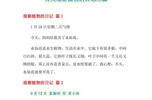 植物观察日记——花儿开的秘密（一个小女孩的植物探索之旅）