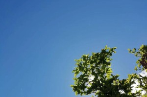 发现大自然的美——一位少年的奇妙之旅（走进大自然，探索神奇之美）