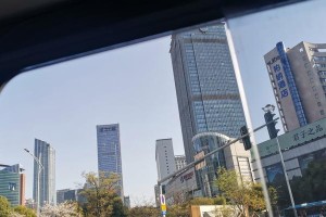 窗外世界很精彩（窗外的美好，藏在哪里？）