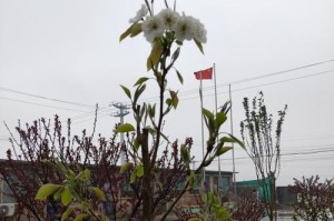 甘露滋润春雨——一个关于生命的故事（天地之间，生命从哪里来？）