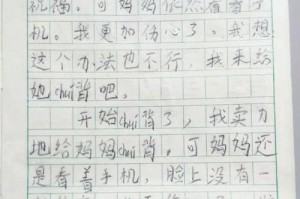 我青春的日记（我青春的日记）