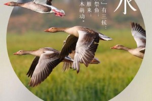 探索内心（探索内心）