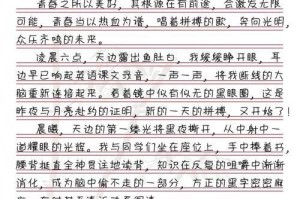 前途的无限光明