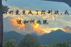 挑战生命，创造奇迹（挑战者的故事）