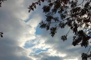 春光万丈（阳光下的小幸福）